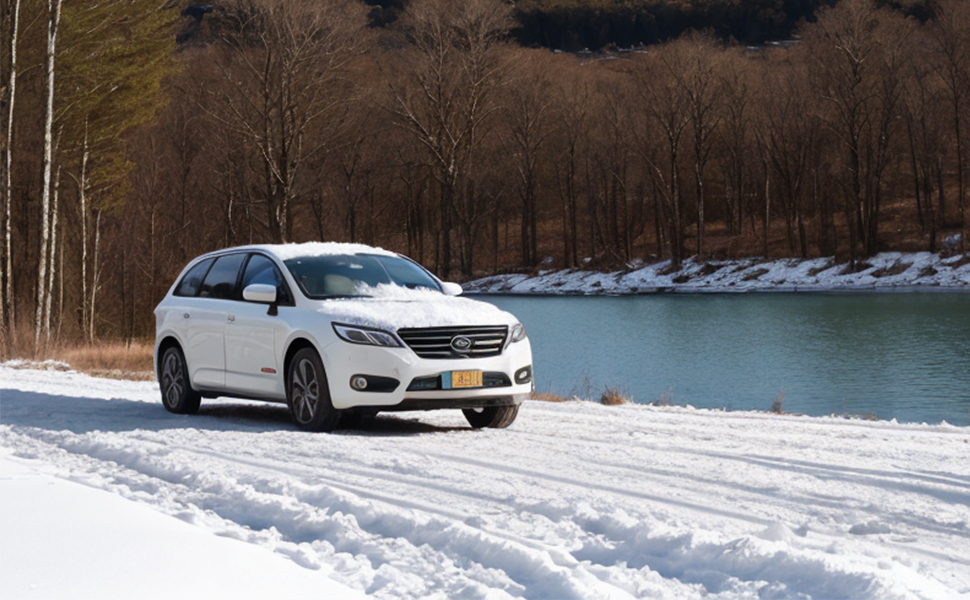 4er Set Auto Eiskratzer mit Schneebesen Ausziehbar Eis Kratzer