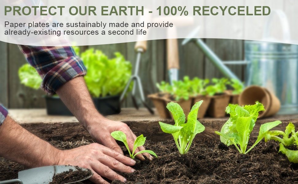 GREENESAGE Paper Plates 9 inch, 50 Pack Compartment Plates