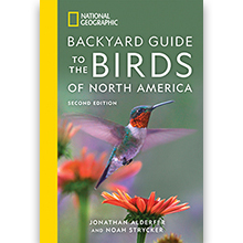 Backyard Guide to the birds of NA