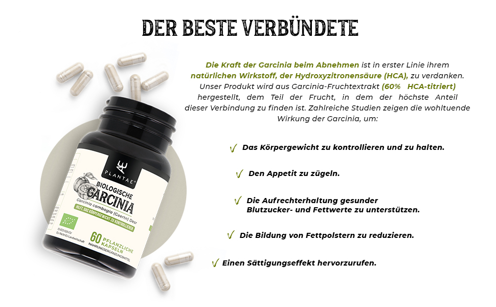VERBÜNDETE