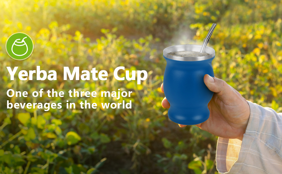 8 Oz Yerba Mate Cup, Tea Cup Set Include Stainless Steel Modern Mate Cup, 2
