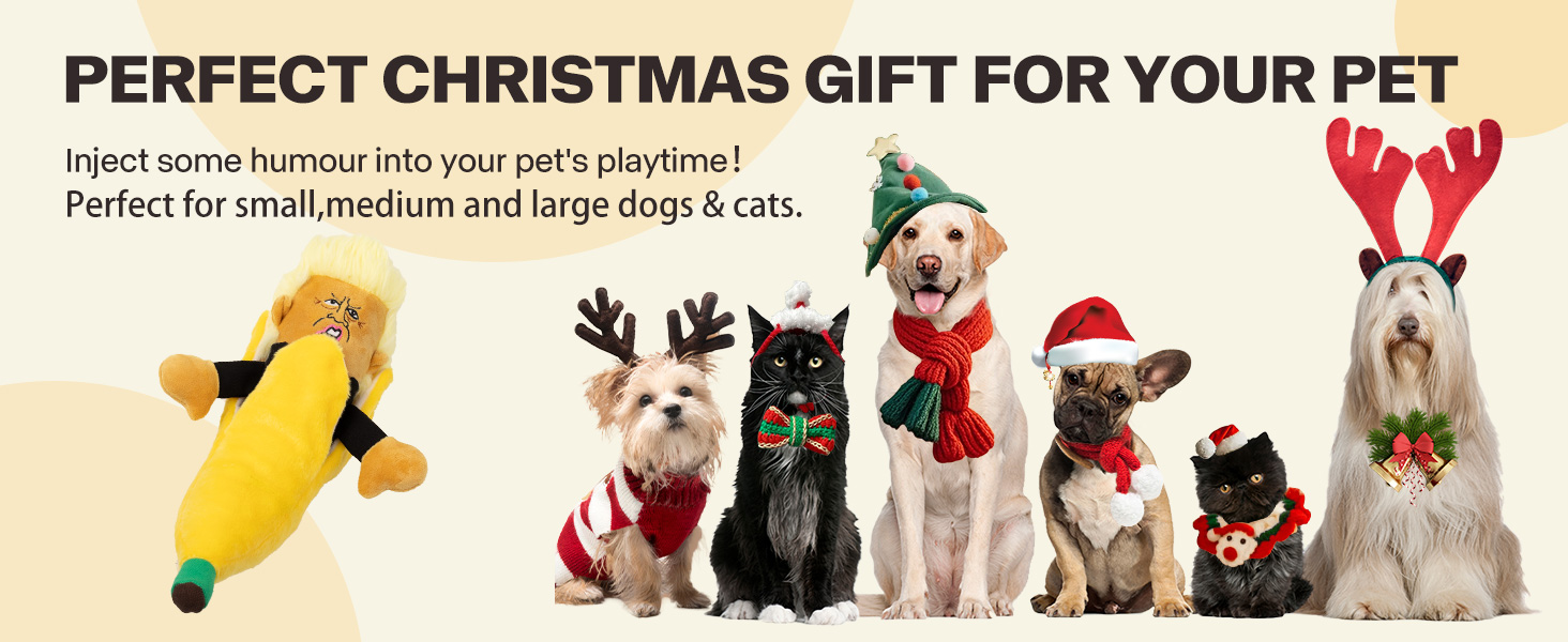 dog interactive toy