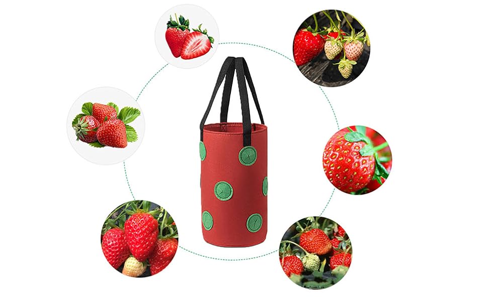Hanging Strawberry Grow Bags Planter3 Gallons Gardens