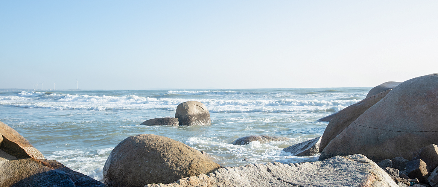 UPSOWER Womens Hiking Shorts