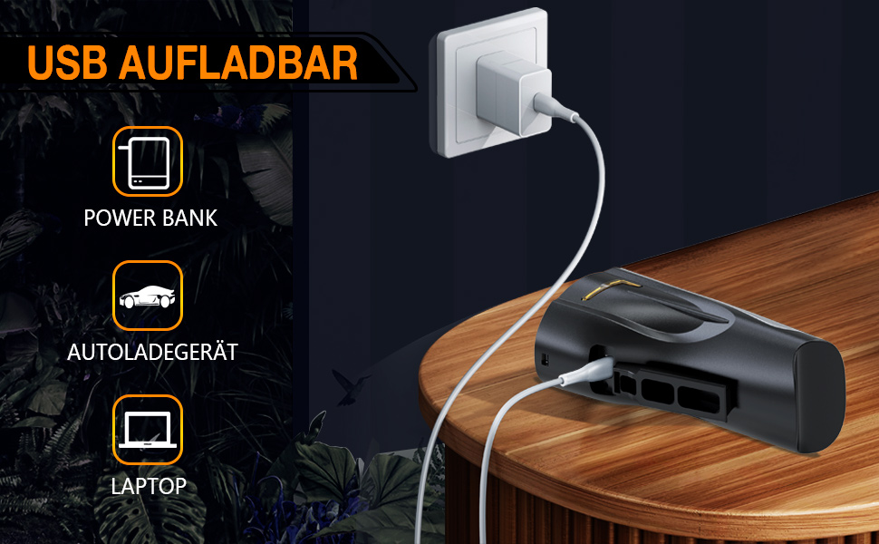 81ac12ad 7cfe 4ffb Ba2d 437fbbe366e4. CR0,0,970,600 PT0 SX970 V1