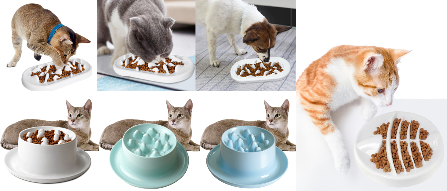 Raised Slow Feeder Cat Bowl, Fish Pool Design Elevated