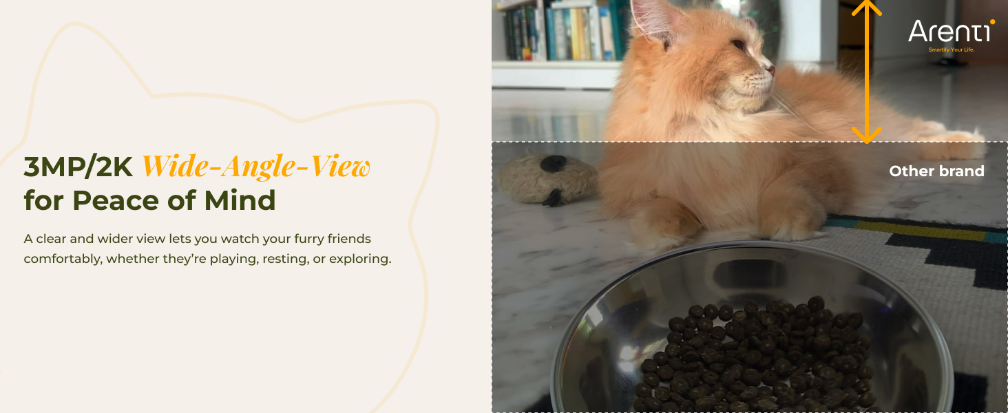 cat feeder automatic