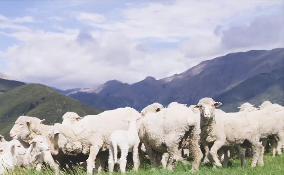 Large manufacture image 1