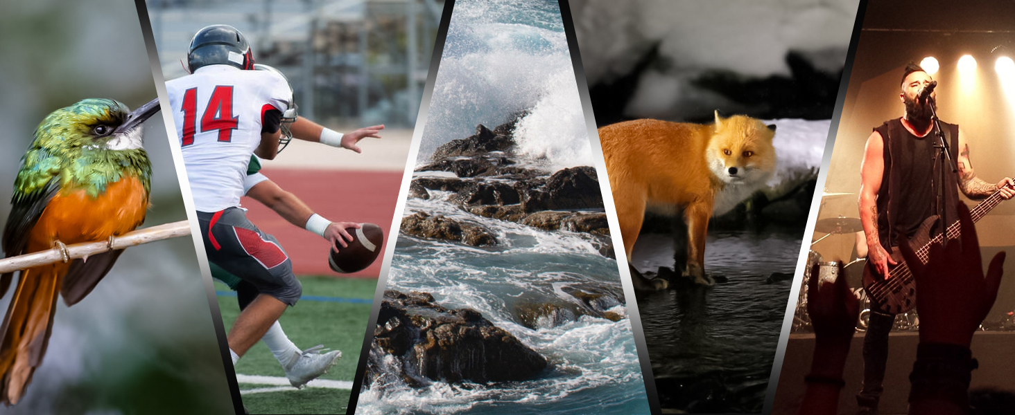 Outdoor Hunting Travel