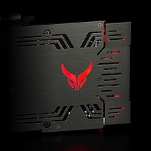 Reinforced Back Plate