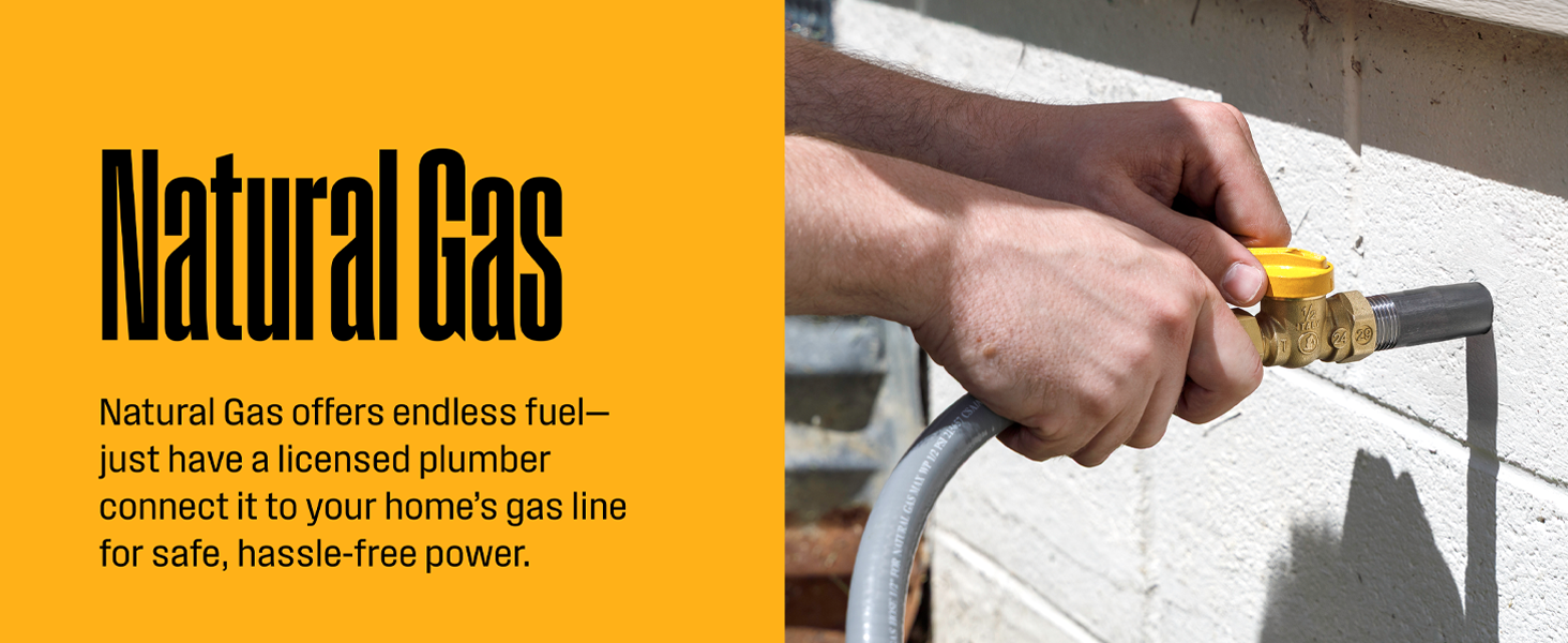 WESTINGHOUSE EFI Generators