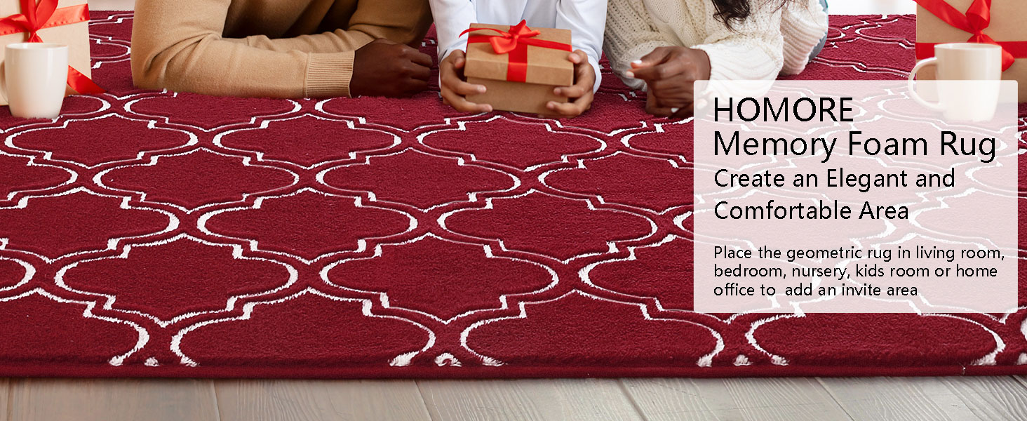 HOMORE Shag Area Rug for Living Room, 6x9 Memory Foam Rugs