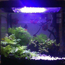 Small manufacture image 8