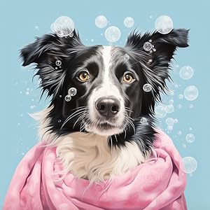 border collie bath scene zolitta pink towel