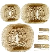 Teenitor Hair Nets and U Shaped Pins Set,40pcs Invisible Hair Nets Elastic Edge Mesh, 80pcs U Sha...