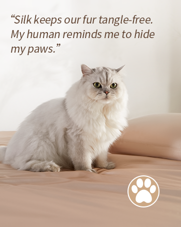 pet friendly