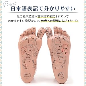 A7:足つぼ（DVD）学ぶ・足部反射療法教材 2級上編プロのset A7:足つぼ（DVD）学ぶ・足部反射療法教材 2級上編プロのset