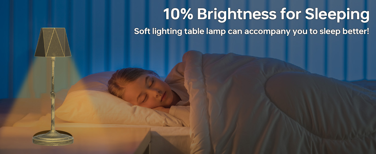 Cordless Table Lamp