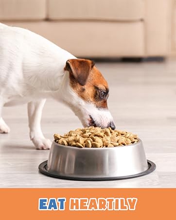 collagen chews for dogs collagen for cats collagen dog chews collagen bones for dogs