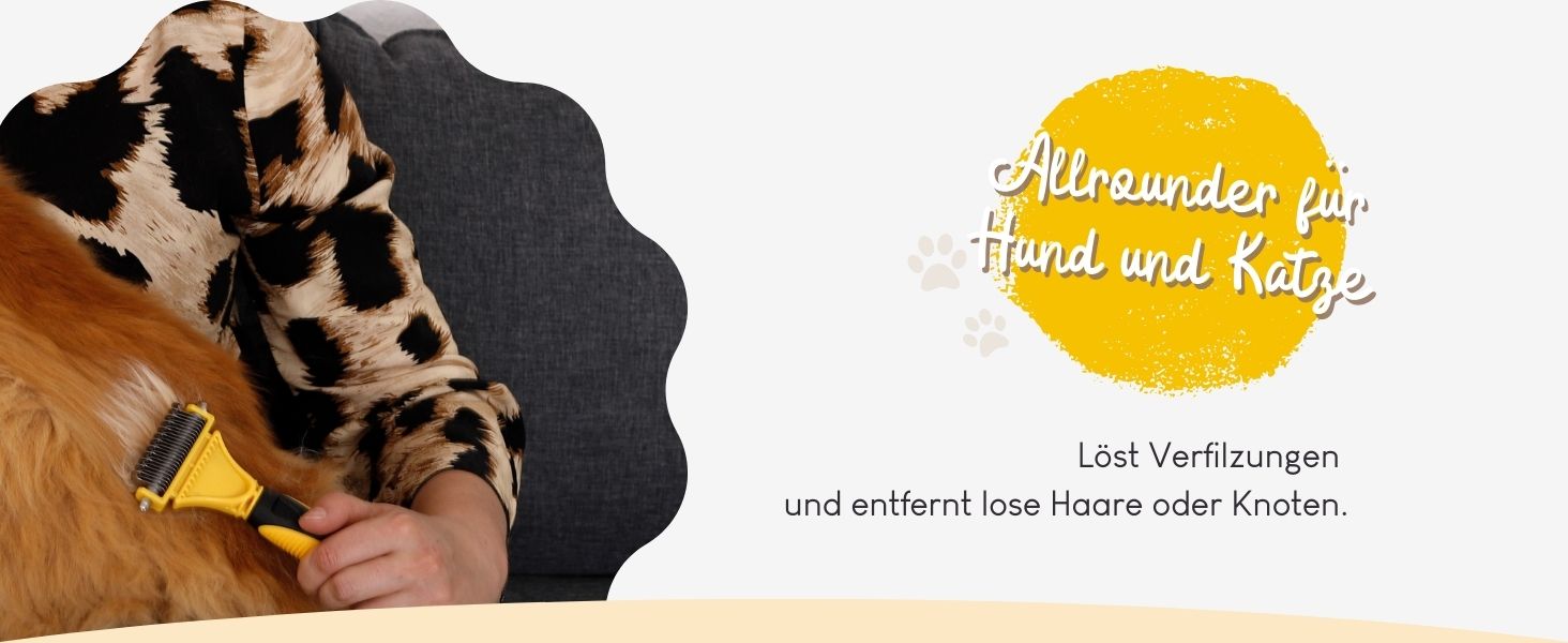 Bürste