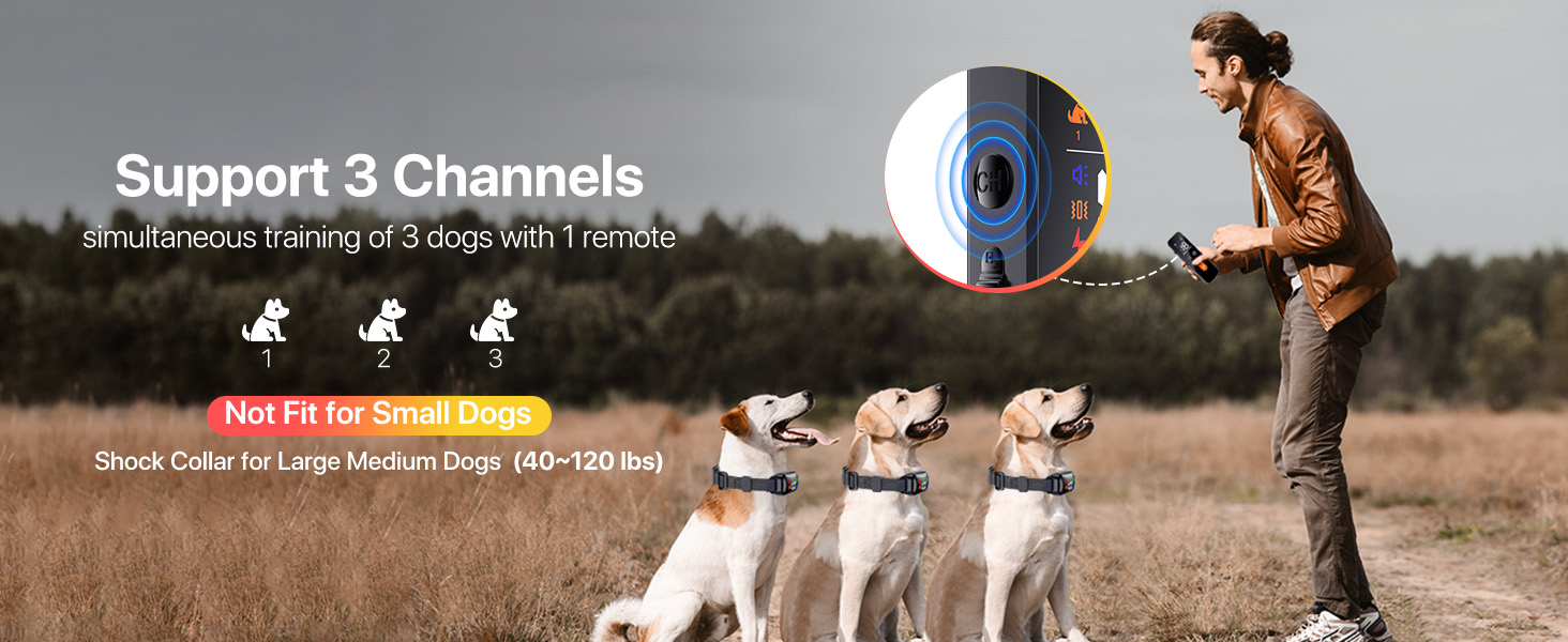 shock collar for dogs 60-100 lbs waterproof