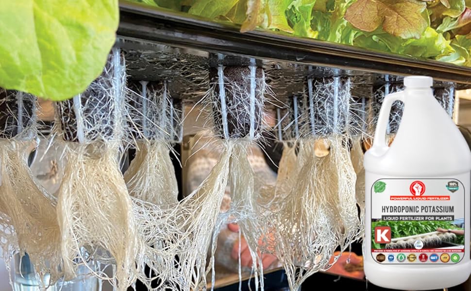 Erwon® Liquid Potassium Fertilizer for Hydroponic plants, Essential