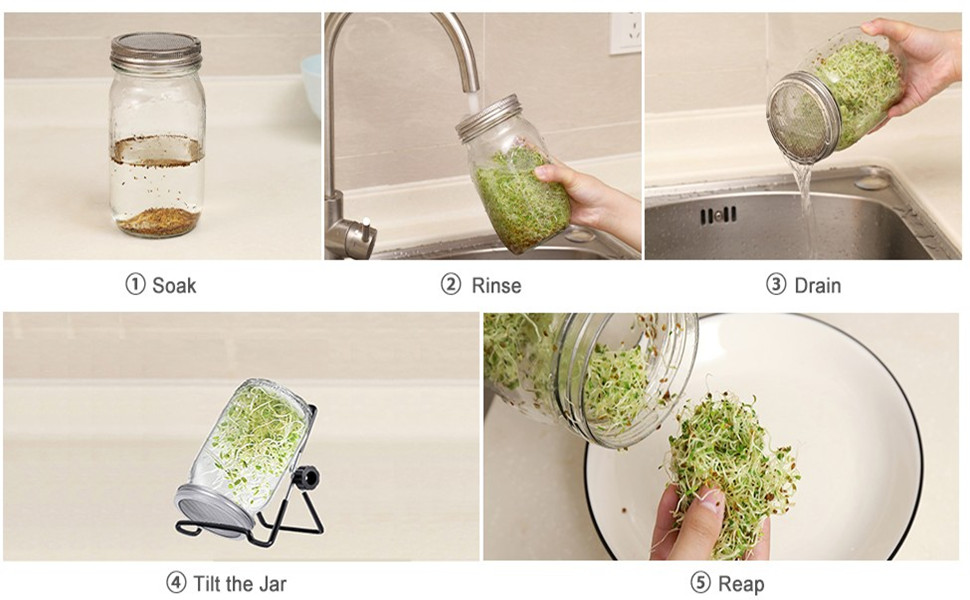 Seed Sprouting Jar Kit (Without Seeds) 2Pcs Sprouter Mason Jars with
