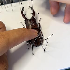 Small manufacture image 3