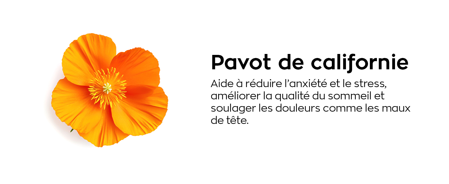 Pavot
