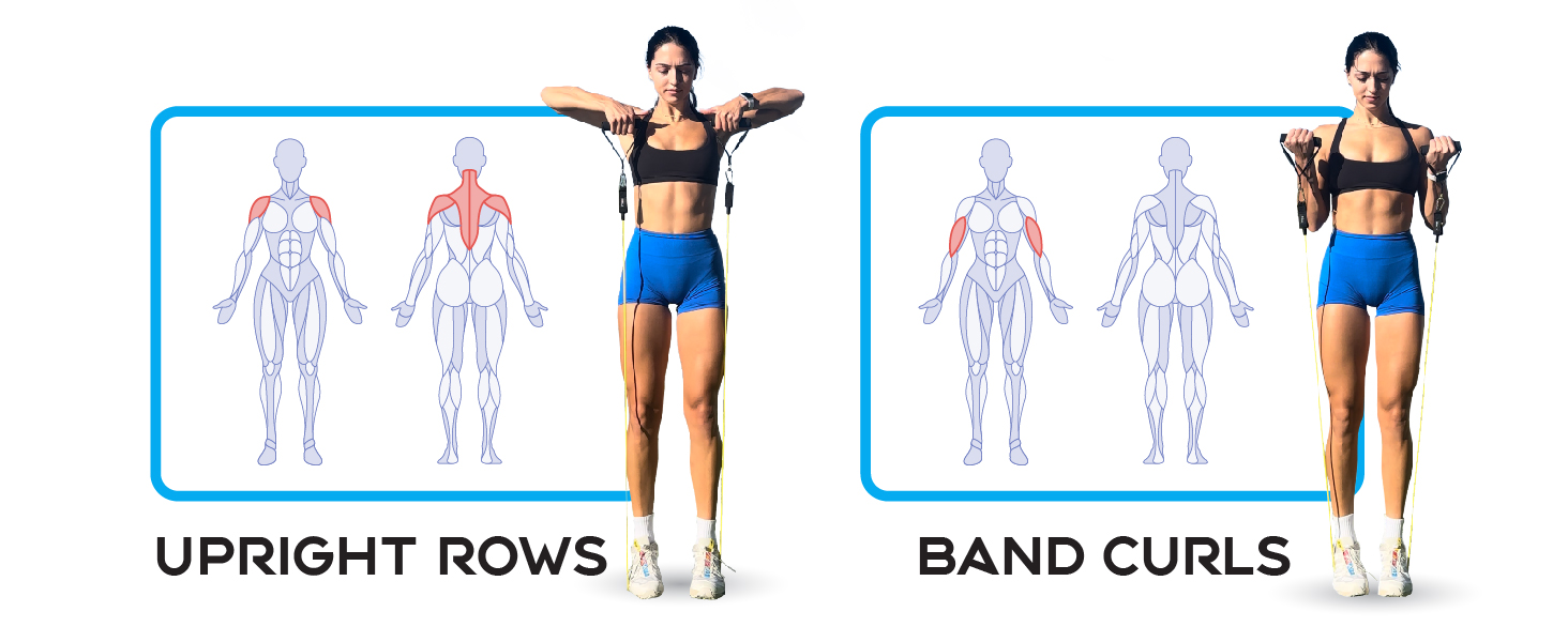 Upright Rows Exercise Band Curls Exercise