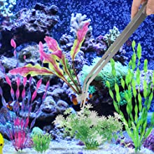 Eine Person, die einen Fisch in ein Aquarium schneidet.