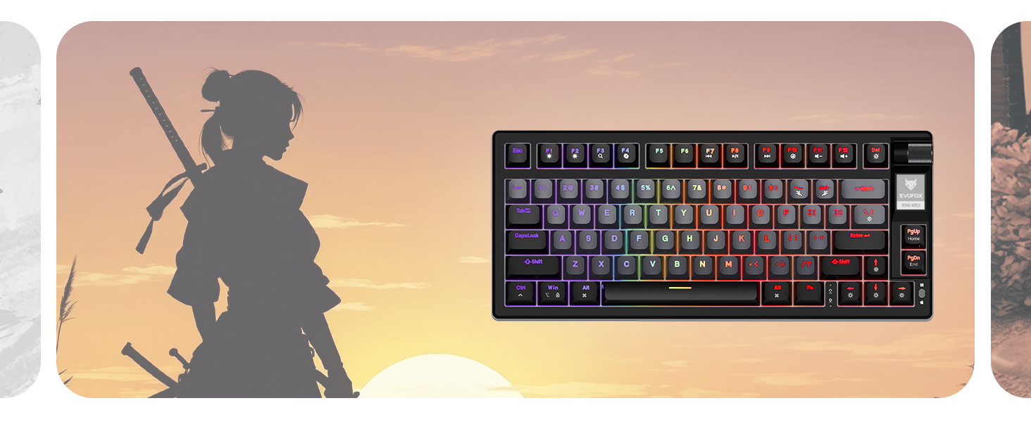 Evofox Ronin TKL Wired Mechanical Keyboard