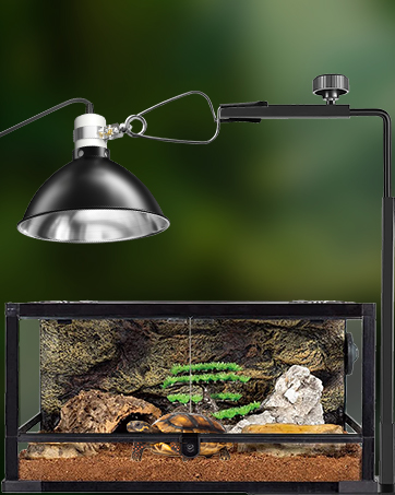 Verstellbare Lampenfassung aus schwarzem Metall, montiert über einem Glasterrarium mit Erde, Steinen und Grünpflanzen.