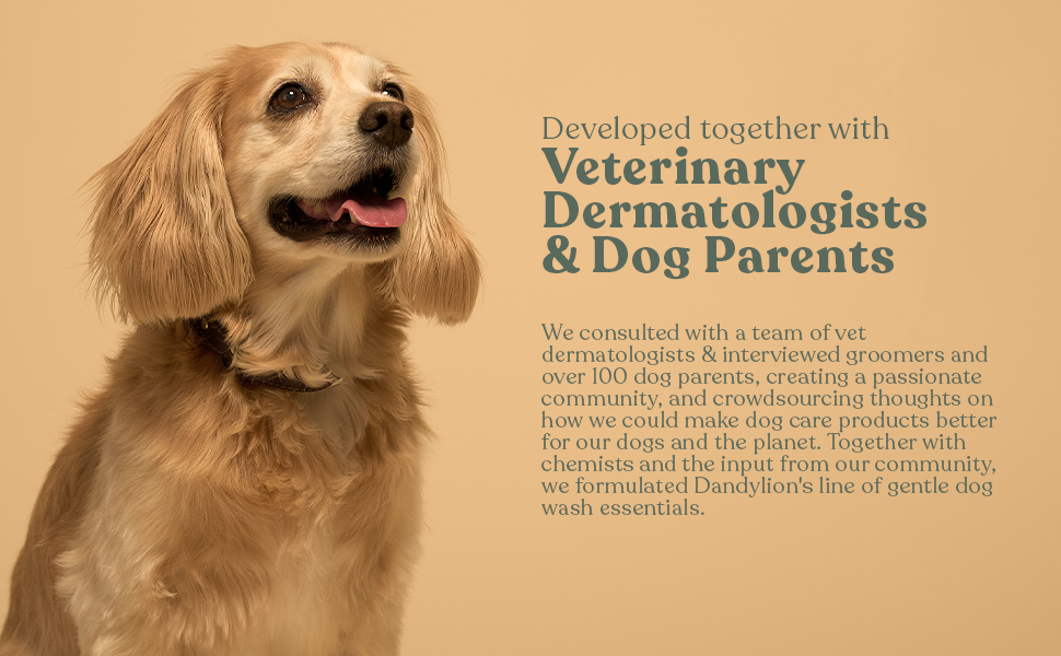 Developed Veterinary Dermatologists Dog Supplies Accessories Gentle Wash Essentials Pet Relief 