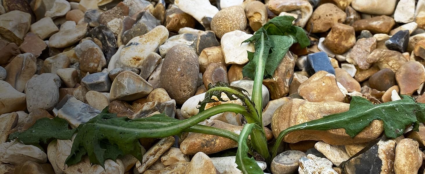 Fast visible results against weeds