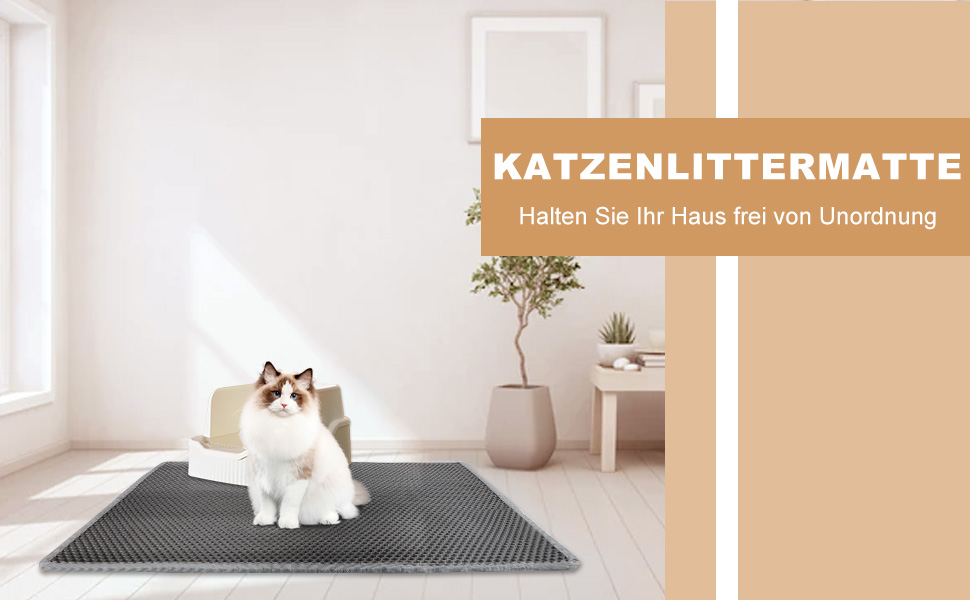 Graue rechteckige Matte auf dem Boden, wobei Katze darauf sitzt. Weißer Raum -Innenraum mit Topfpflanze und kleinem Tisch sichtbar.
