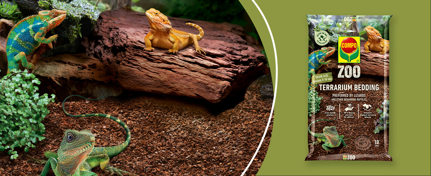 DE-AMZ-A-Plus-COMPO-ZOO-lizard-M-1464x600-06