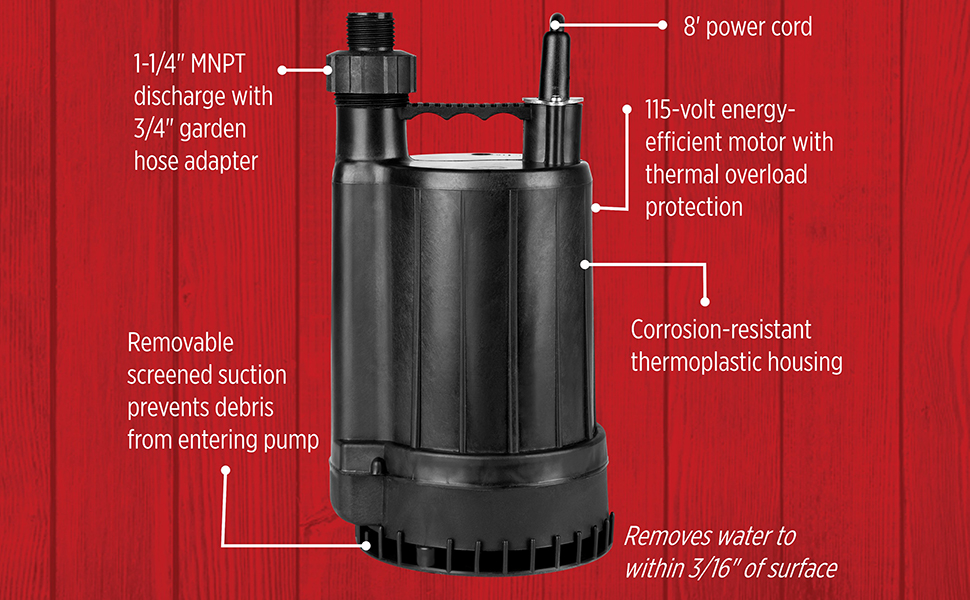 Amazon.com: Red Lion RL-MP25 115 Volt, 1/4 HP, 2200 GPH