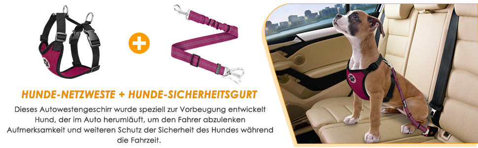 hundegeschirr kleiner hund