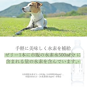 【高濃度水素ゼリー 犬用】合計194本セット｜ヨーグルト風味｜バラ売り可 Amazon.co.jp: シンリョウヘルスケア 高濃度水素ゼリー犬用 31本