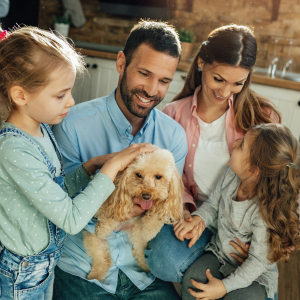 Perro de pelo rizado de color dorado sentado en el sofá mientras lo acarician, con una iluminación interior