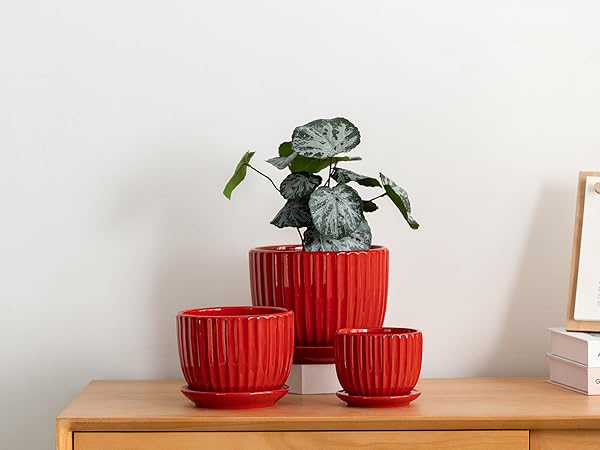 Amazon.com: Ton Sin 陶瓷植物花盆- 4/5/6 英吋(約10.6 公分