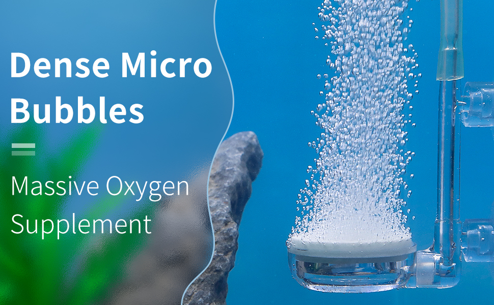 Pawfly Aquarium Air Stone Disc, 1 Inch Small Fish Tank Air Stone Kit