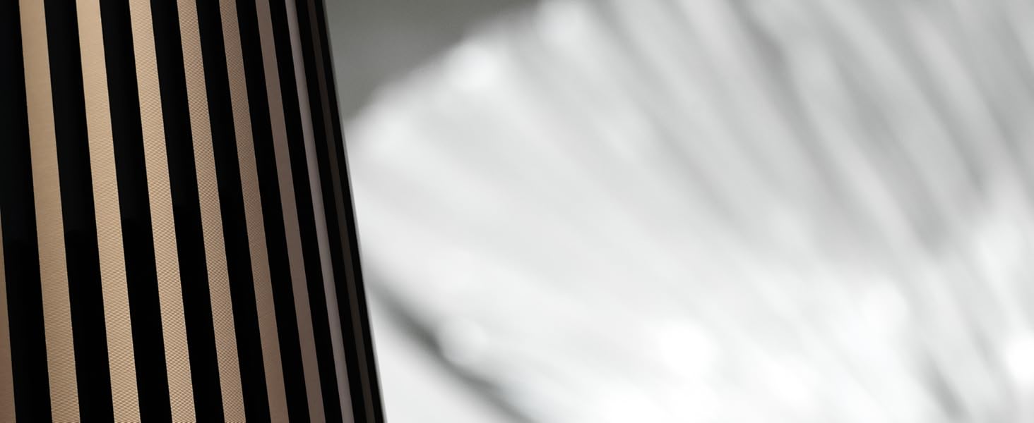 Bang & Olufsen 1666818 BeoSound 2 Home Wireless Music Speaker System