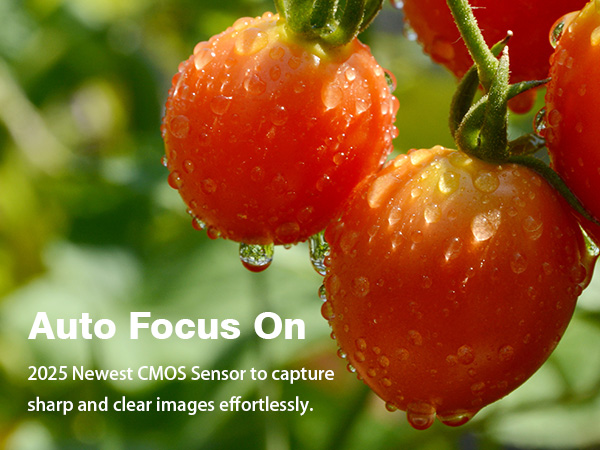 point and shoot camera