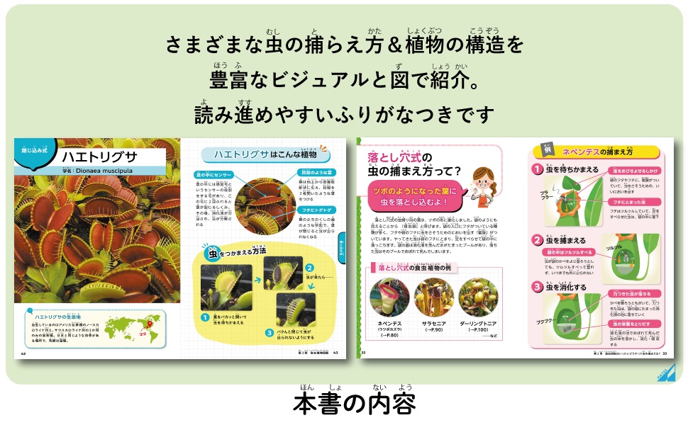 食虫植物　お知らせ用 4535885246114.jpg