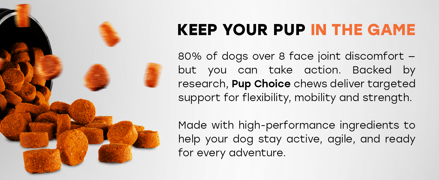 collagen, turmeric, glucosamine for hip and joint mobility for dogs of all sizes