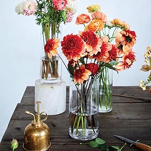 The Art of Picking Flowers