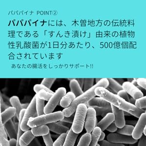 Amazon | パパパイナ [ 90g（3g×30包）/ 1袋 ] パイナップル風味
