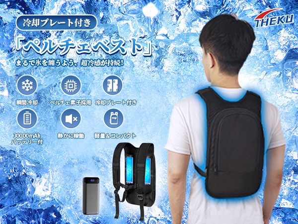 Amazon.co.jp: [RuiPu] ペルチェ ベスト【2025新登場＆2つ冷却